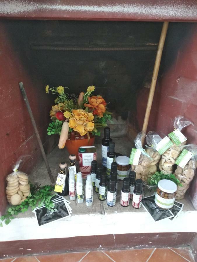 Lu Focalire Bed & Breakfast Montesano Salentino Exterior photo